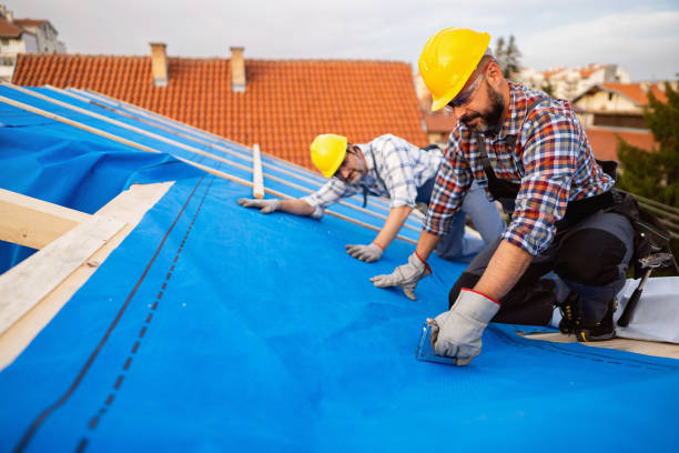 Best Roof Maintenance Services  in Vernon Center, NJ