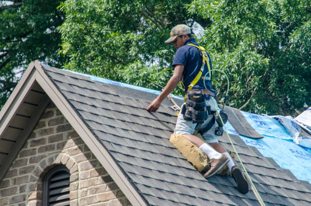 Best Roof Leak Repair  in Vernon Center, NJ