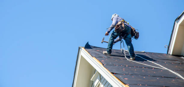 Best Roof Gutter Cleaning  in Vernon Center, NJ